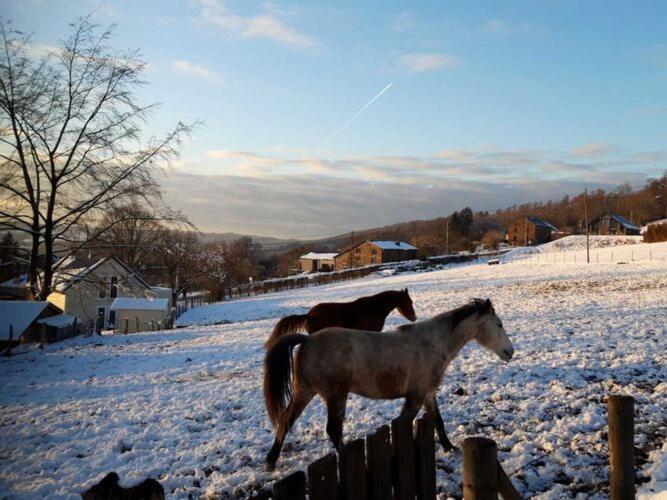 Gorgeous Holiday Home In Stoumont With Garden Kültér fotó